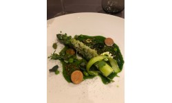 Asperges vertes, araignée condimentée, ail des ours, crème fumée