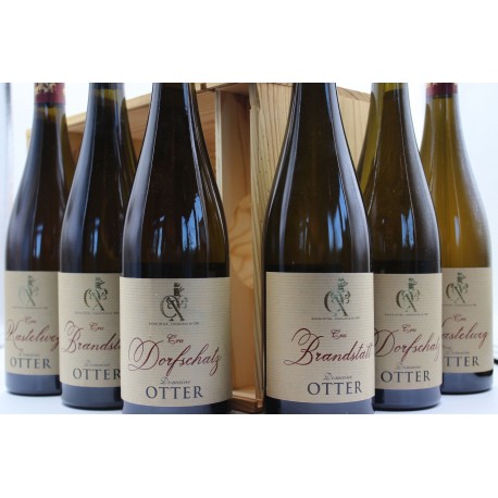 Achat Boite à Chaussure Vernis - 5x75cl - Odyssee-vins